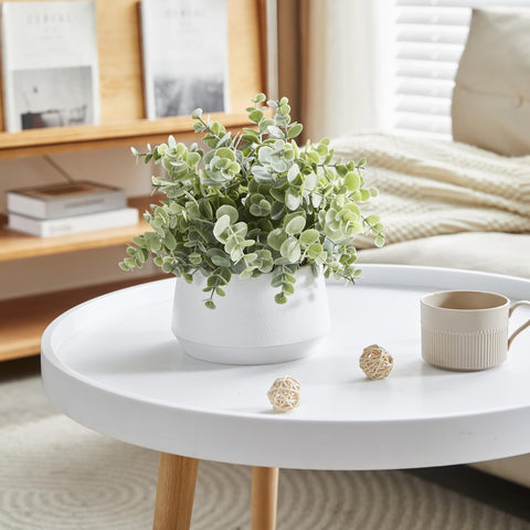 365 Blooming Decor white textured pot with real pebbles enhancing natural look.