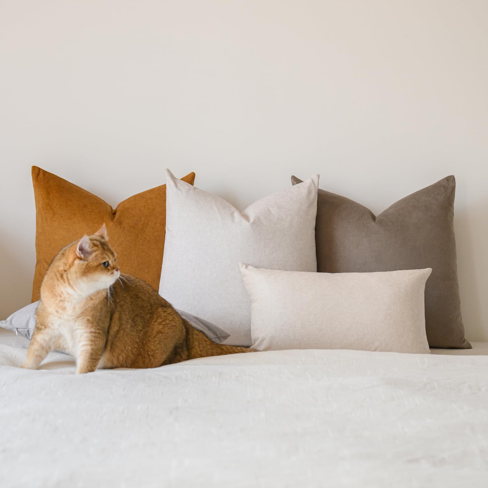 A moment pet-friendly pillow cover resists claws and everyday wear.