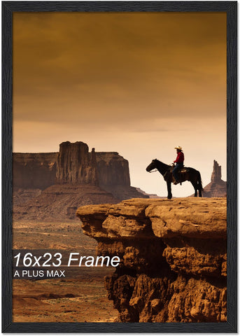 A PLUS MAX 16x23 frame front in black with a sleek lightweight profile for easy wall display.