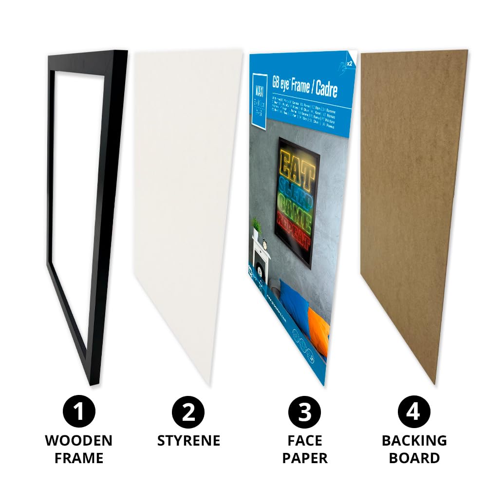 ABYSTYLE GB Eye frame horizontal hanging option for wider displays.