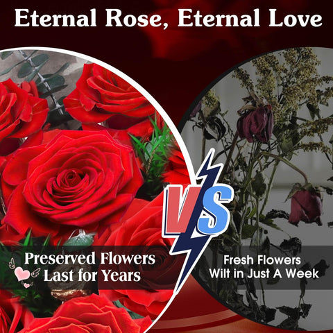 ADDWel long lasting preserved roses with soft petals and vibrant hue