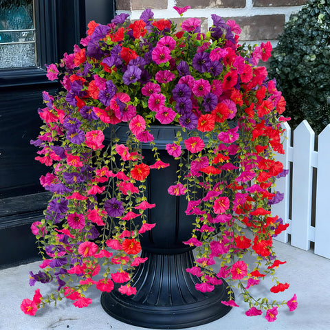 ADXORA Morning Glory bundle hanging outdoors in a planter for year-round color.