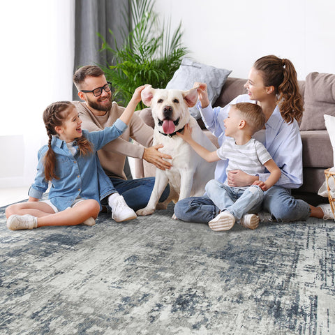 Aelenmu 8x10 area rug blue-grey pattern enhances modern decor