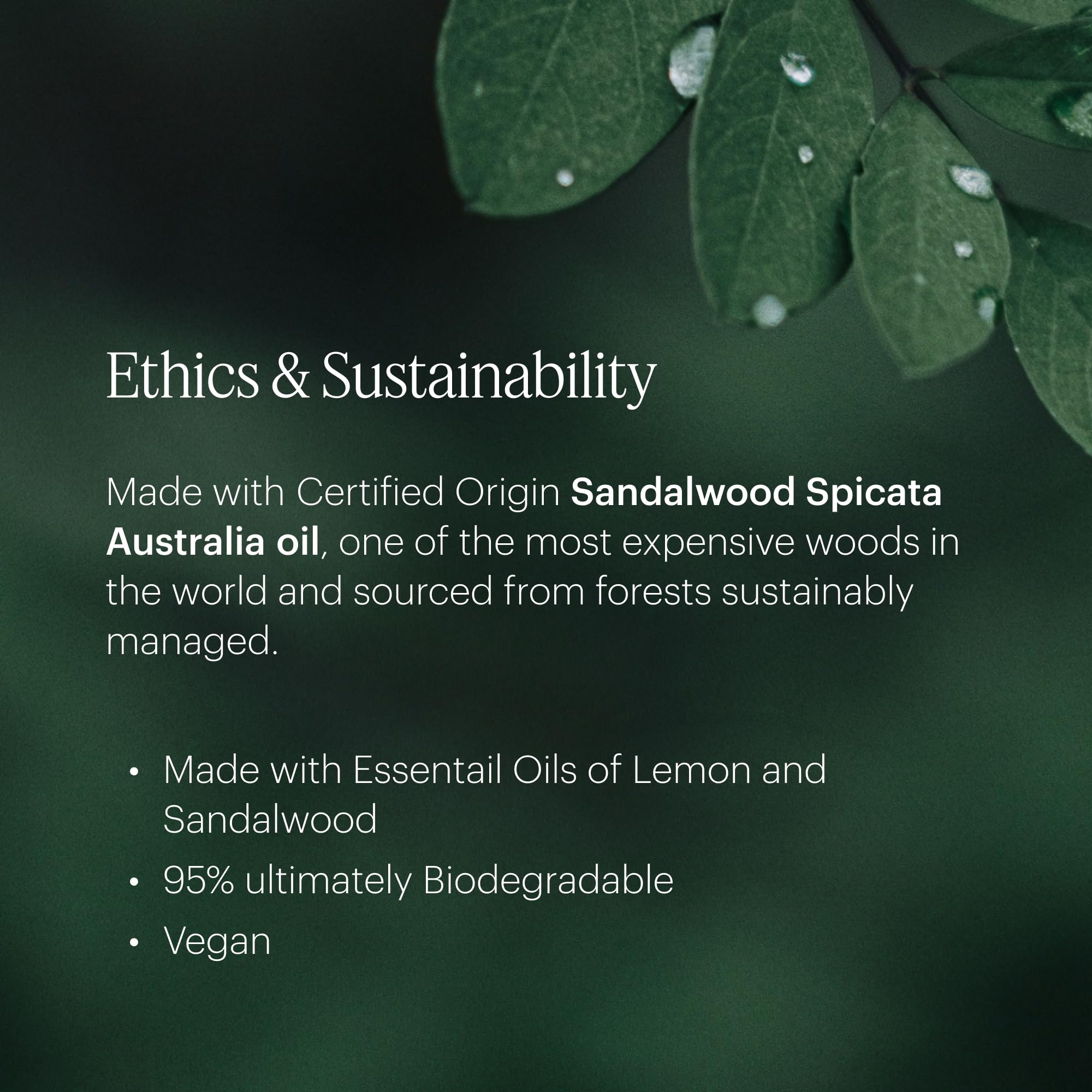 Aera Beach House lemon sandalwood oil bottle conveys uplifting spa notes.