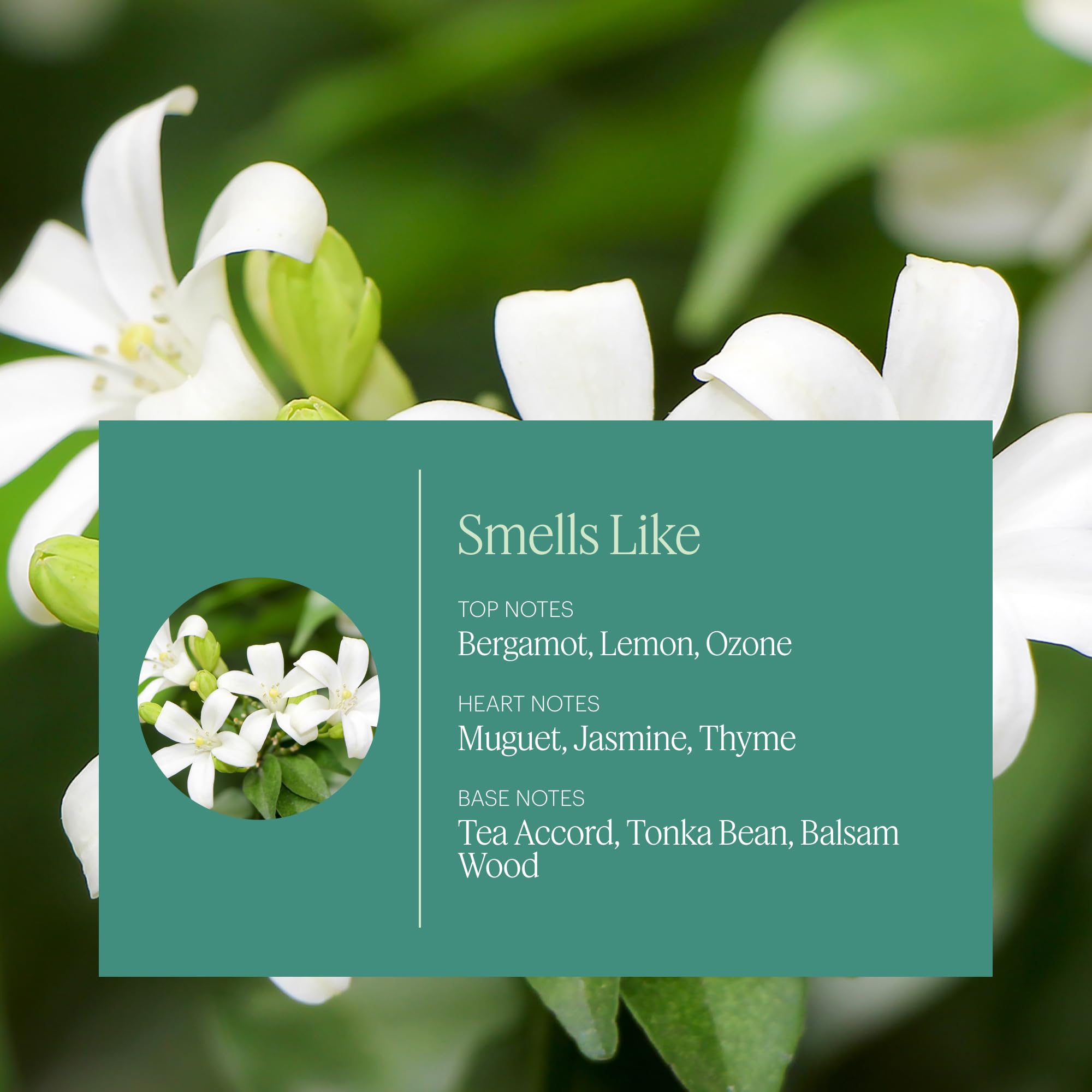 AERA Mini White Tea diffuser-in-use demonstrating a calming, spa-like environment
