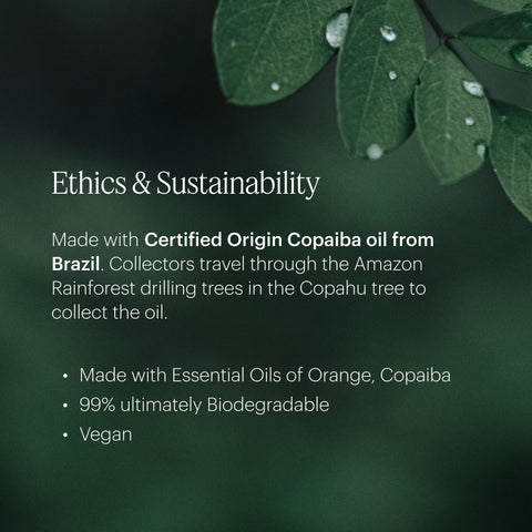 AERA Mini White Tea label-design highlighting premium ingredients and eco credentials