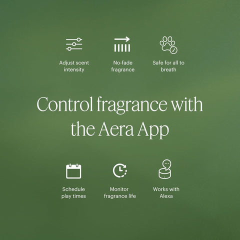 AERA Mini White Tea scent-visual capturing jasmine and white tea notes in focus