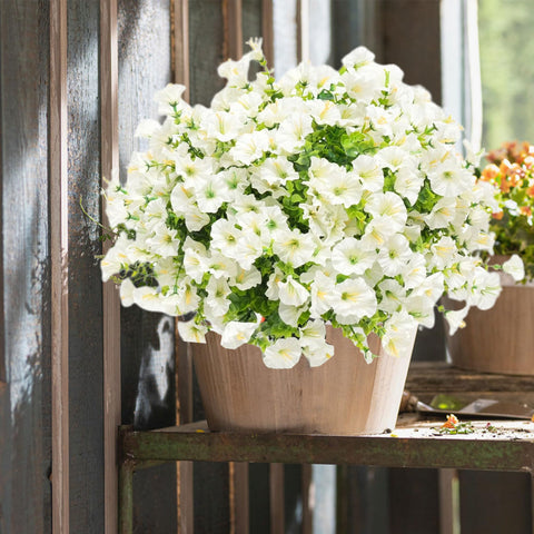 AevrBlos low-maintenance artificial blooms that save time.