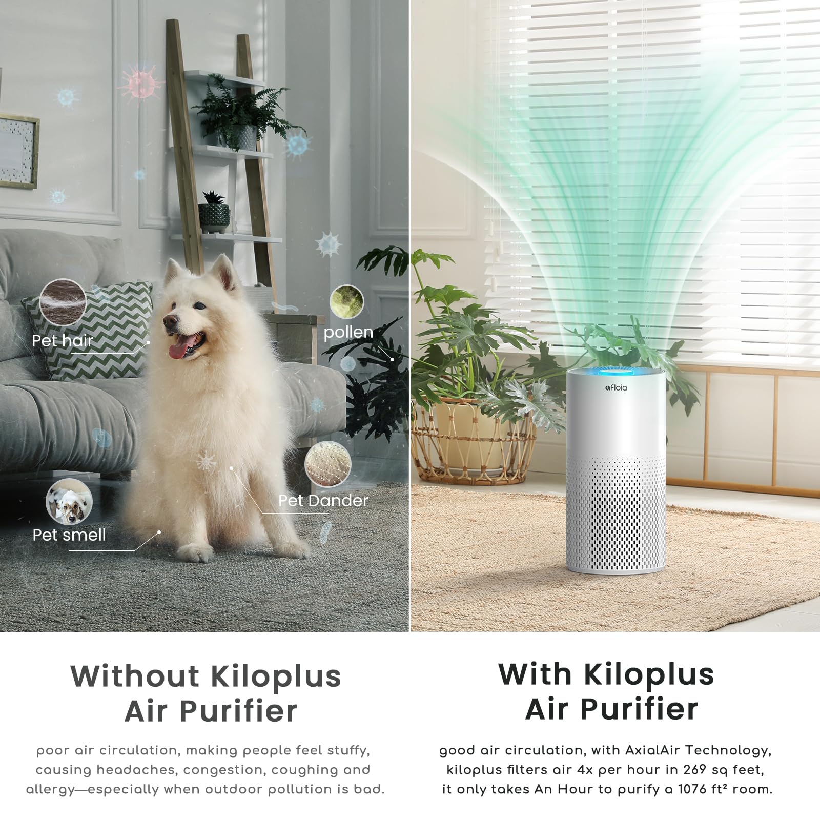 Afloia air purifier smartphone app control enables remote operation from anywhere.