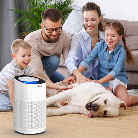 Afloia Max purifier-compatible filter installed, compatible with ASIN B088R4JWW3.