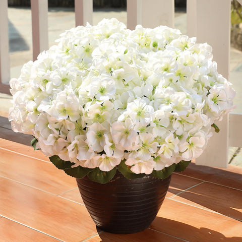 AGIRL white geranium bundle in planter for porch or balcony charm.