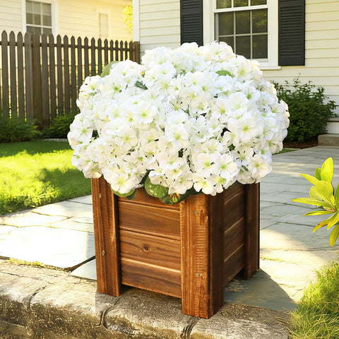 AGIRL white geranium in basket for chic garden display.