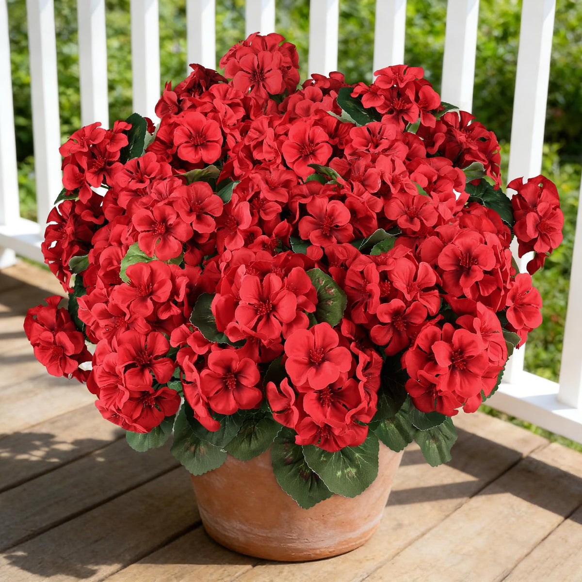 AGIRL red geranium bundle with full blooms for versatile indoor-outdoor decor