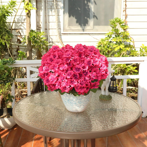AGIRL Indoor display with six bundles adds lush color to living spaces.