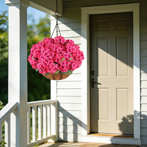 AGIRL UV-resistant geraniums resist fading for year-round color.