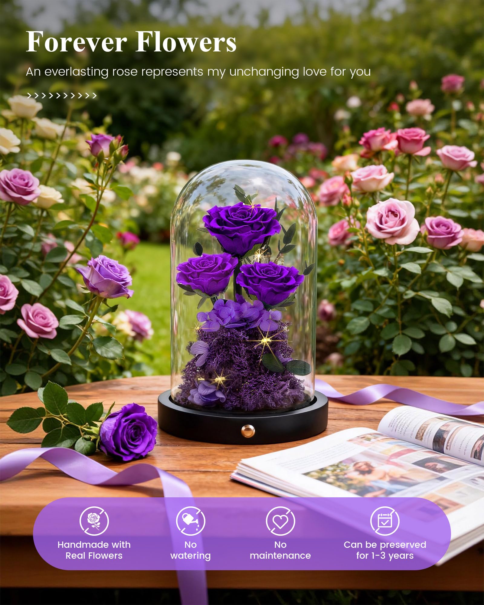 Agrul preserved rose in dome enhancing home décor.