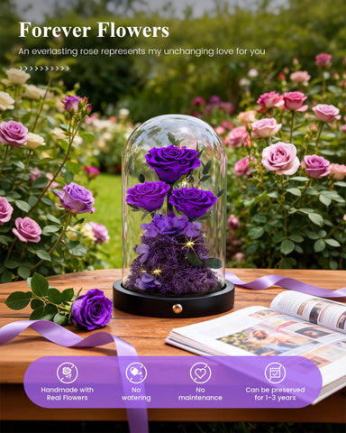 Agrul preserved rose in dome enhancing home décor.
