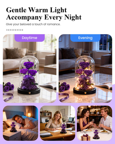 Agrul rose dome elevates living room display.