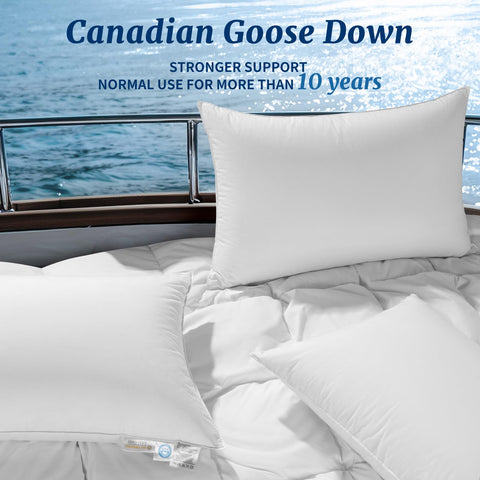 AiAngu pillow close-up highlights premium 900-fill power down for luxurious support