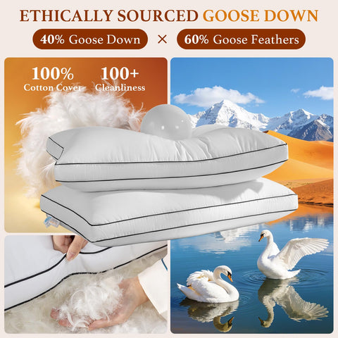 AiAngu OEKO-TEX certified fabric label shows safety