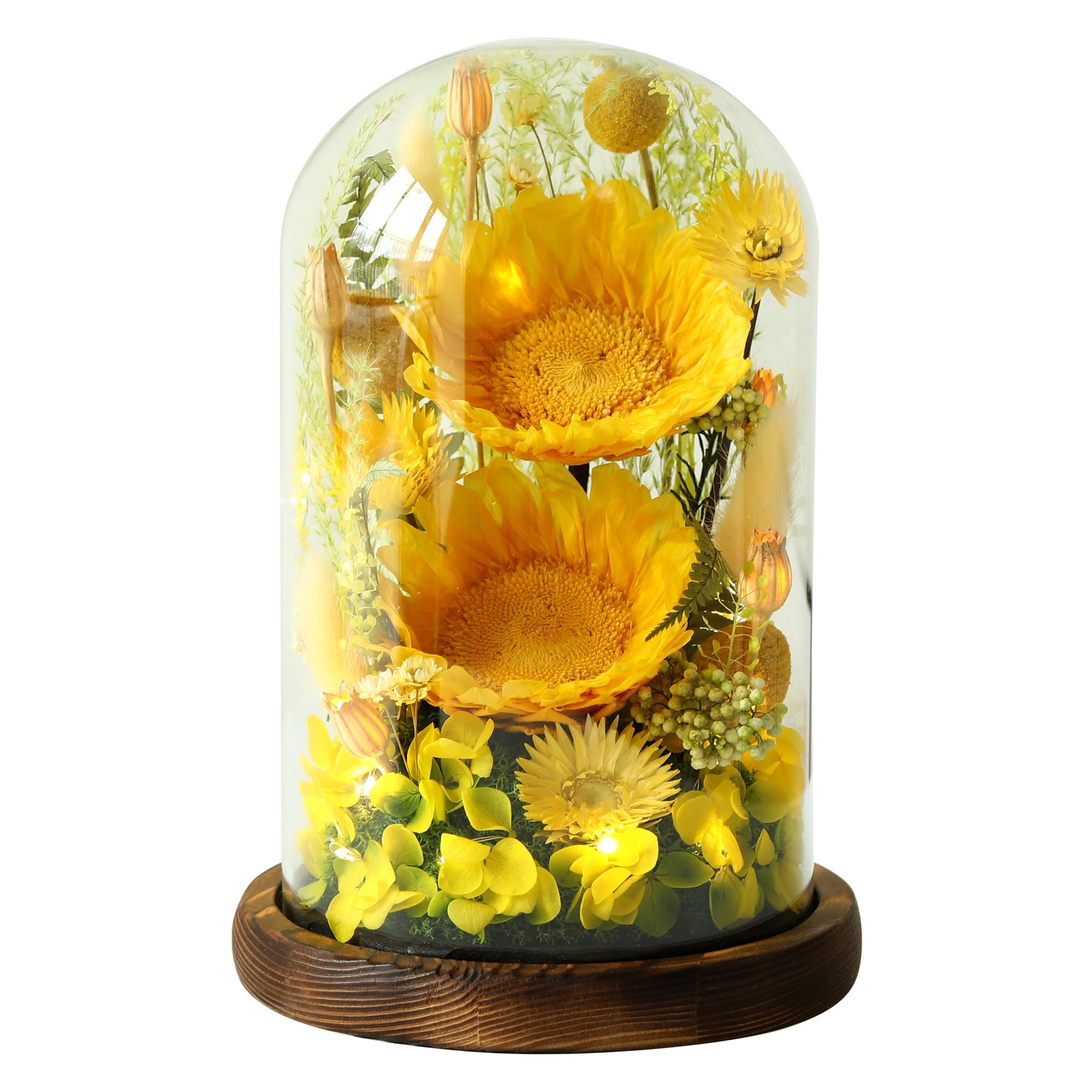 AIMEYE preserved sunflowers in a clear glass dome for enduring sunny decor.