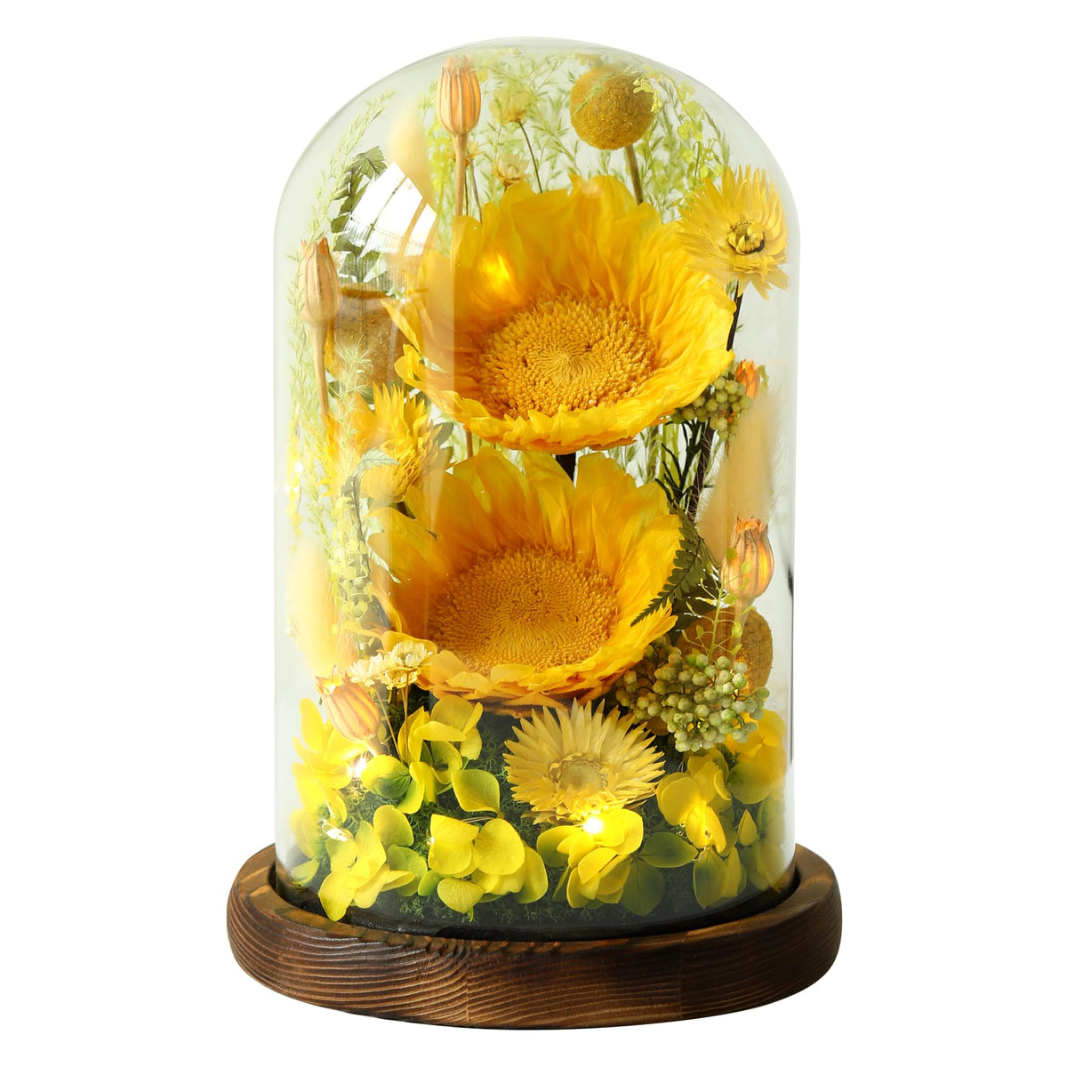 AIMEYE preserved sunflowers in a clear glass dome for enduring sunny decor.