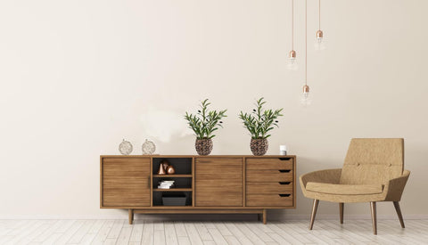 Ainuowei olive plant makes a thoughtful gift for occasions.