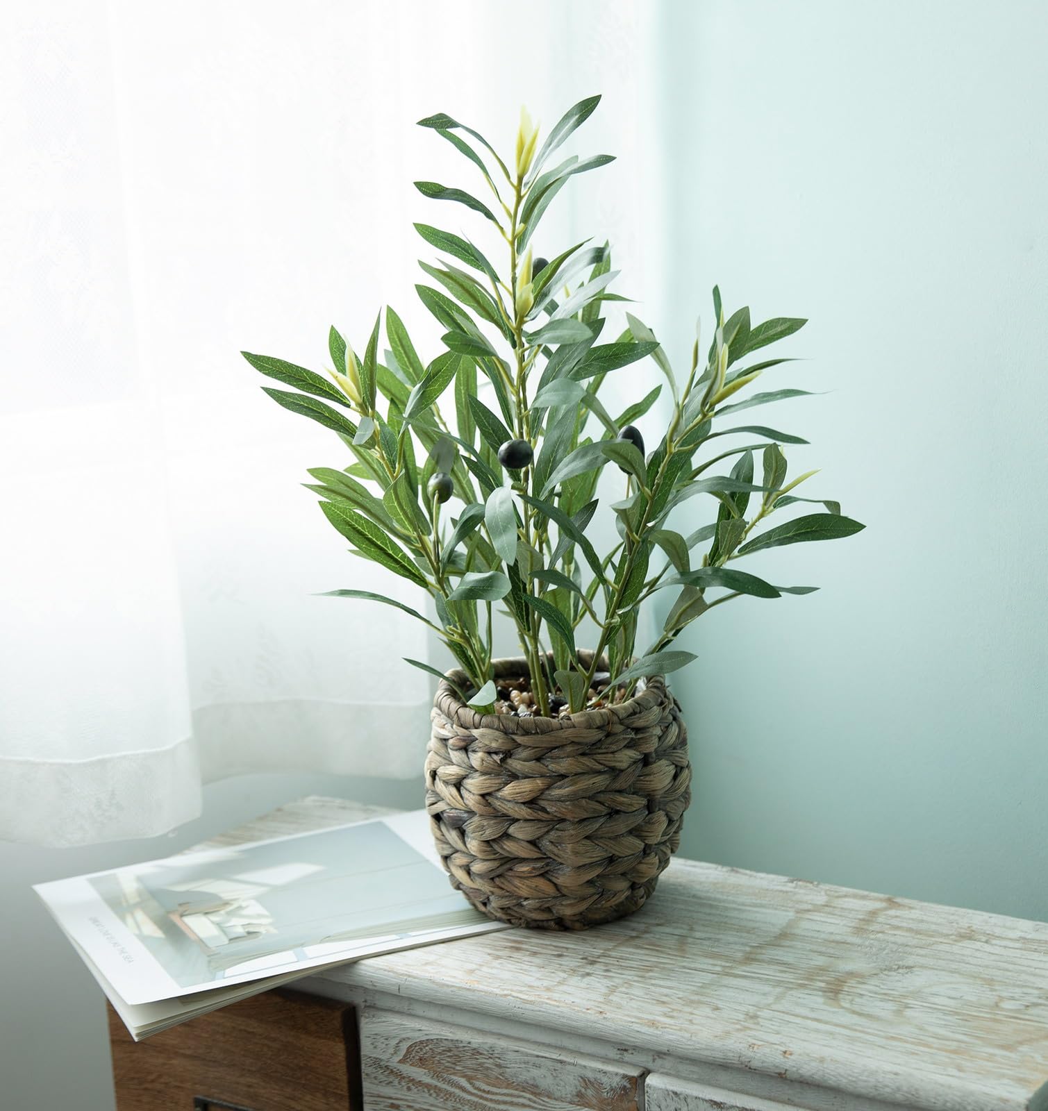 Ainuowei olive plants at 17.7 inches fit desks beautifully.