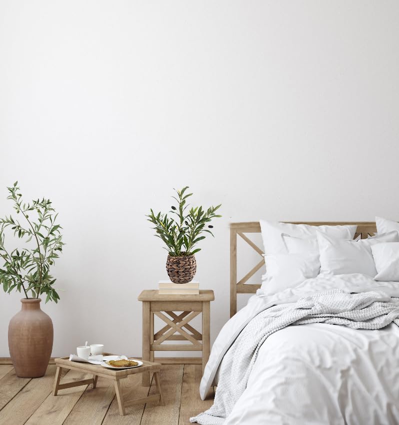 Ainuowei olive plant for office desk and workspaces.