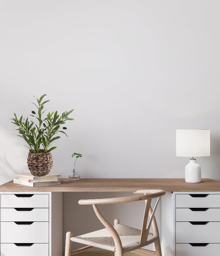 Ainuowei olive plants suit versatile decor styles and spaces.