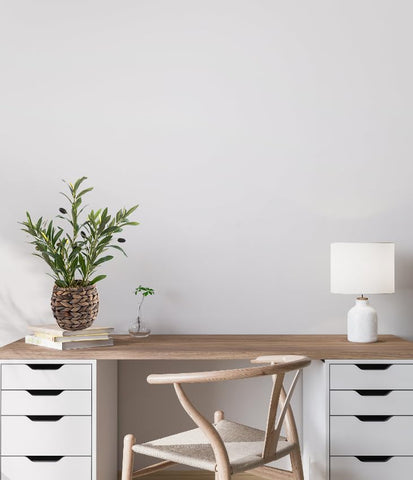 Ainuowei olive plants suit versatile decor styles and spaces.