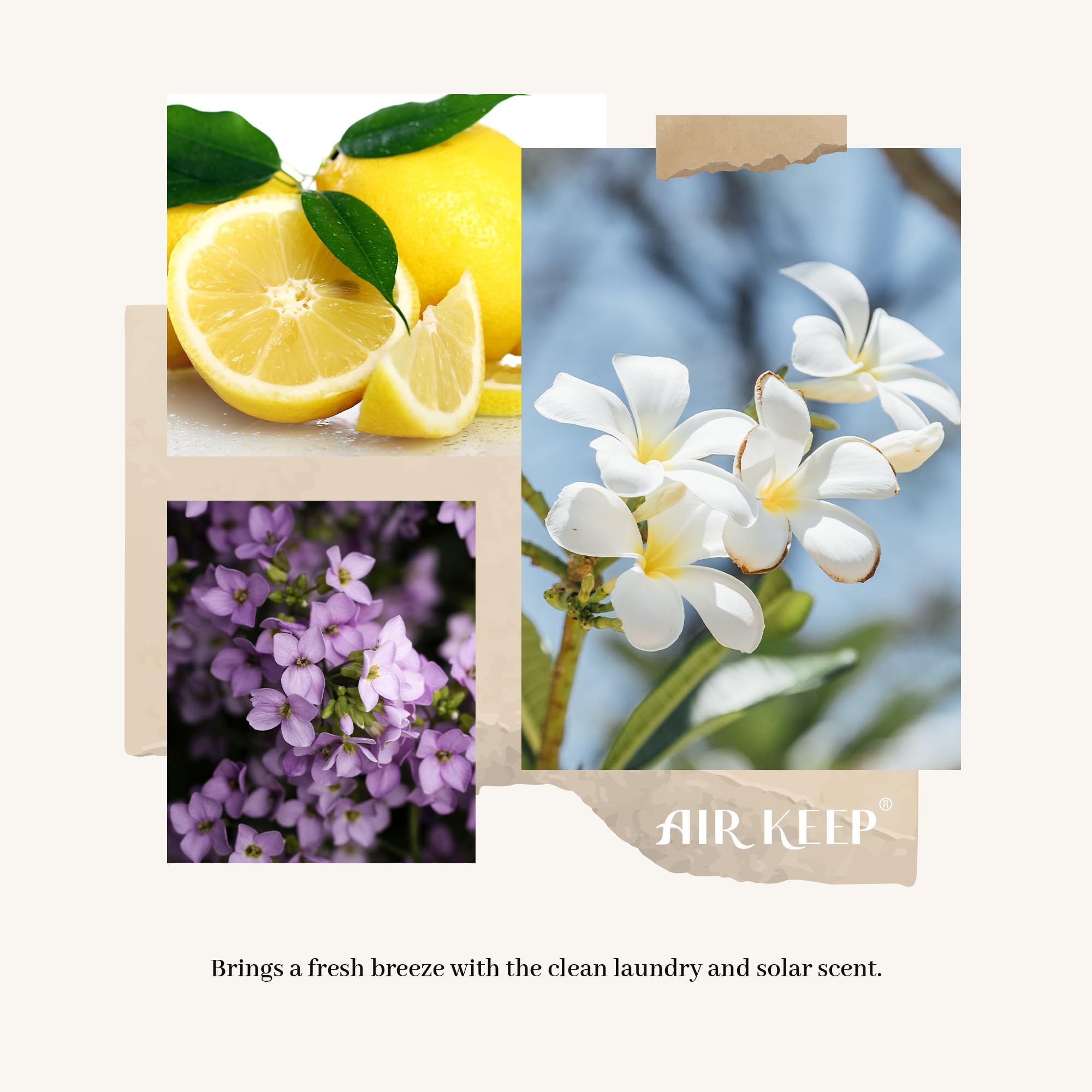 Airkeep refill bottle pack for easy scent maintenance