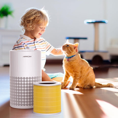 AirROMI A2001 purified air experience for everyday living and family spaces.