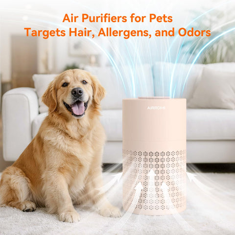 AirROMI A2001 operates quietly at 23 dB for silent purification