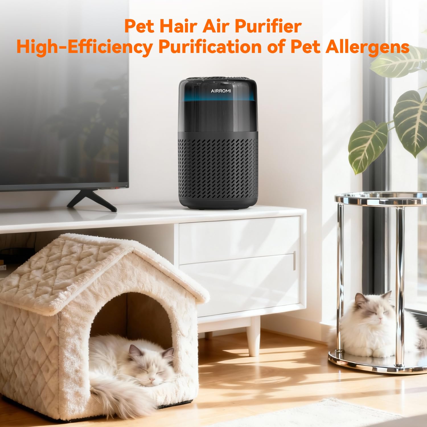 AIRROMI A2005 certifications and 2-year warranty support reliability.