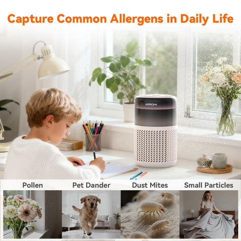 AirROMI A2005 fragrance diffuser adds a fresh scent.