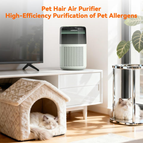 AirROMI A2005 large-room coverage helps keep bigger living spaces fresher.