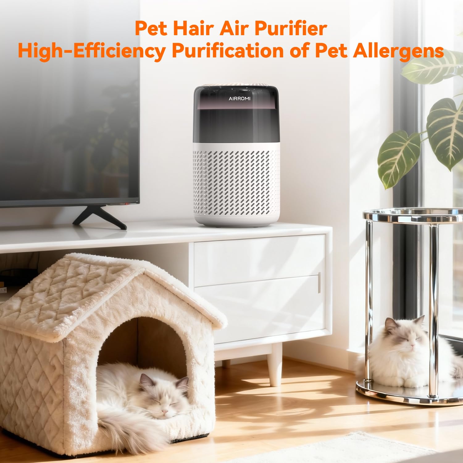 AirROMI A2005 ideal for large rooms up to 700 ft².