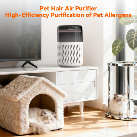 AirROMI A2005 ideal for large rooms up to 700 ft².