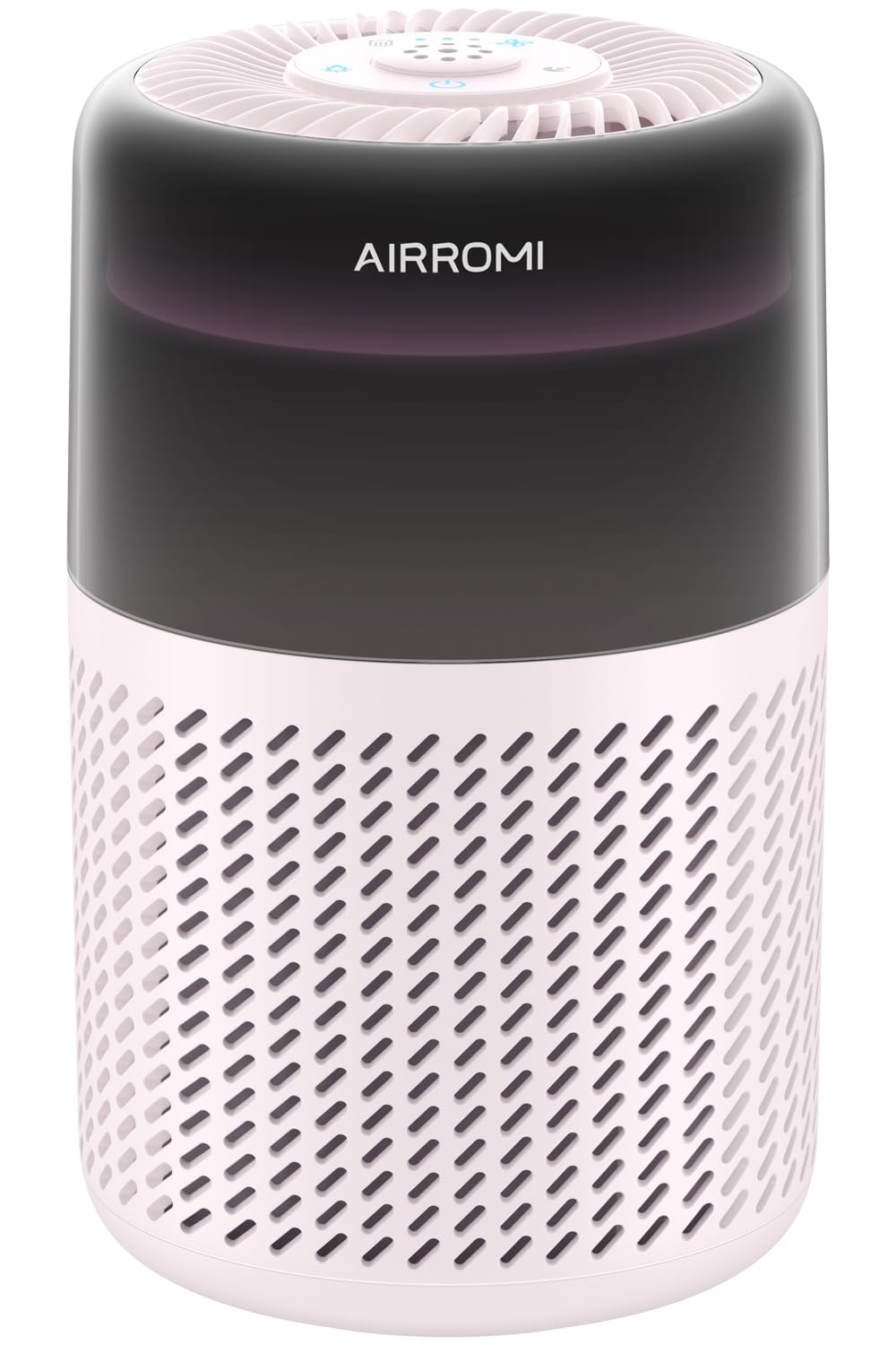 AirROMI A2005 reduces pet odors for a fresher living room.