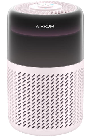 AirROMI A2005 reduces pet odors for a fresher living room.
