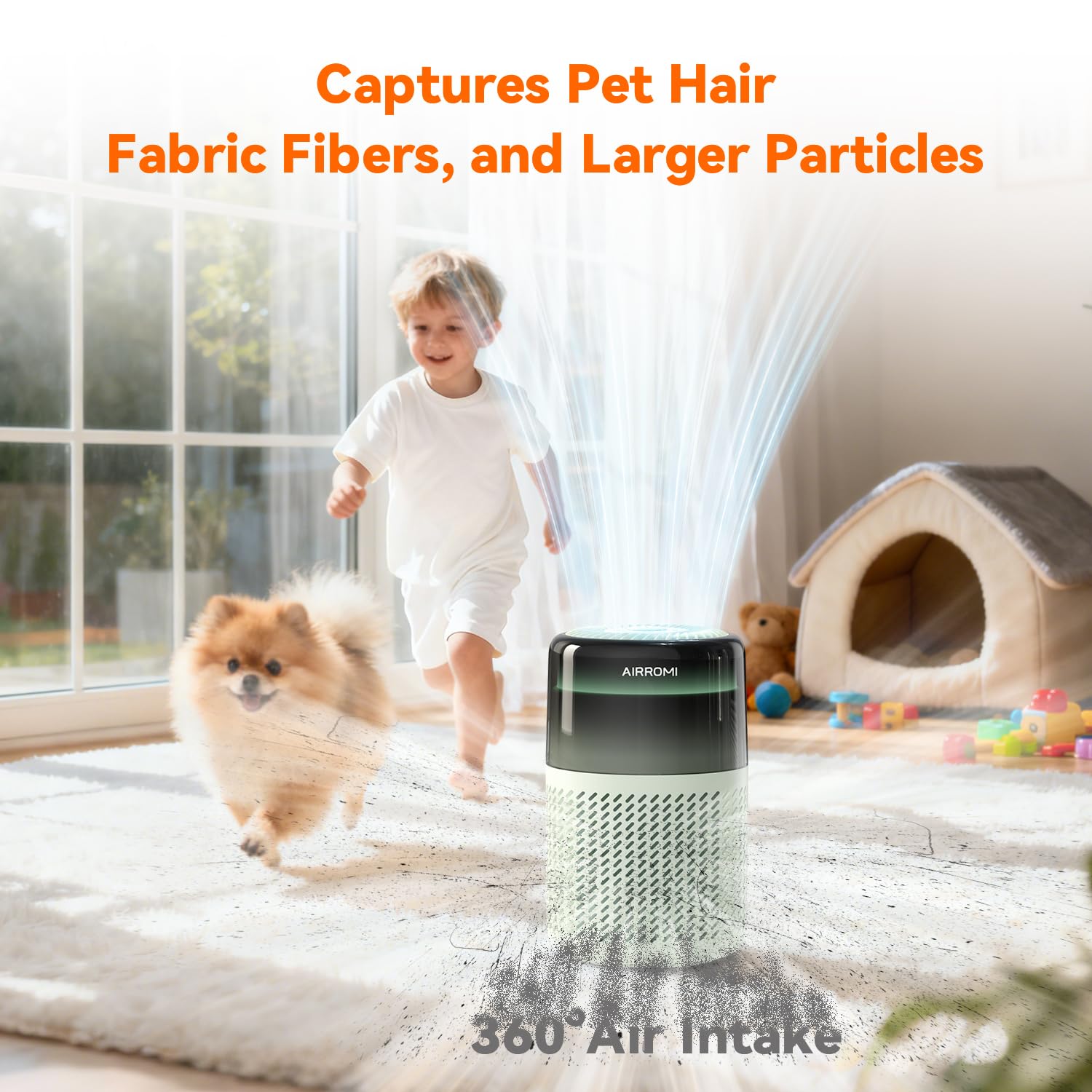 AirROMI A2005 pet odor elimination highlights dander and litter odor reduction.