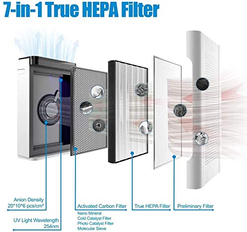Airthereal activated-carbon filter for APH260 reduces odors and VOCs in real spaces.