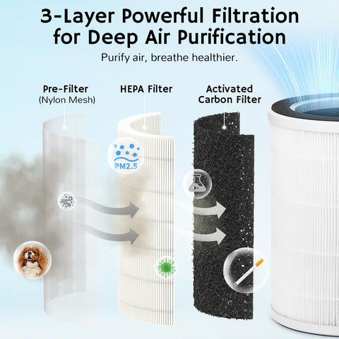 Detachable humidifier module attached for combined air purification and humidity
