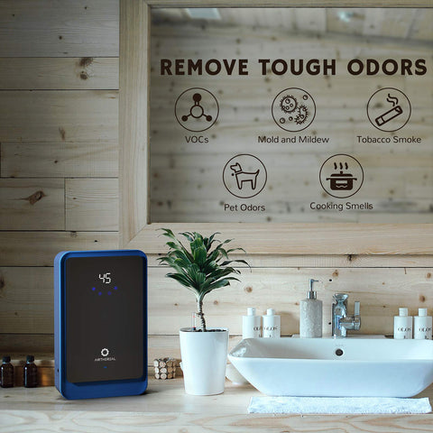 Airthereal AH1000 fruit and vegetable cleaning scene for fresh produce.