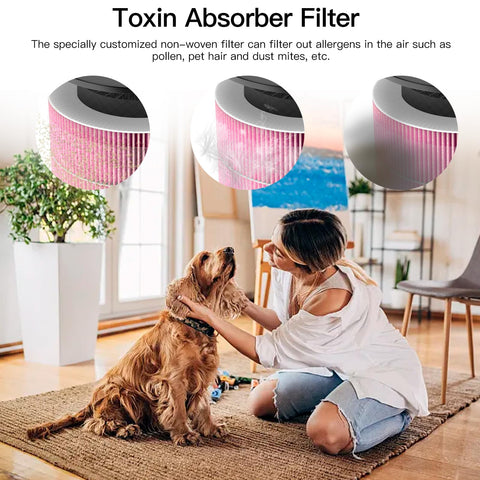 AIRTOK AP0601 odor removal effect close-up shows improved air freshness