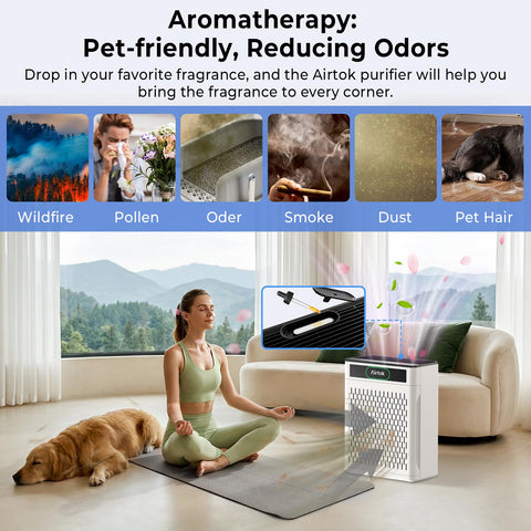 Auto Mode feature on Airtok AP3001 adjusts fan speed based on air quality.