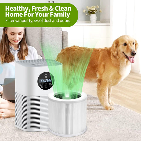 Aiskaer 4-pack value and savings for replacement filters