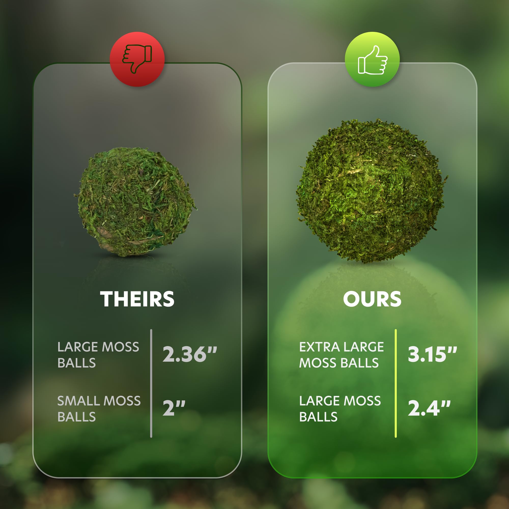 AISLE 3 ESSENTIALS durable moss balls maintain shape in any display