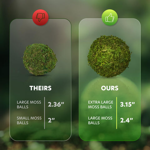 AISLE 3 ESSENTIALS durable moss balls maintain shape in any display